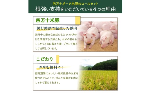 【大人気返礼品】しまんと米豚の厚切りロースセット （150g×6枚）／Qjs-04
