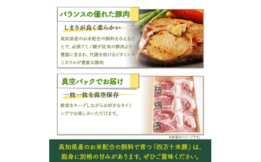 【大人気返礼品】しまんと米豚の厚切りロースセット （150g×6枚）／Qjs-04