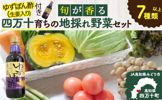 特製ポン酢付き！安心安全の地ドレ野菜（旬が香る7種セット）／Qjs-05