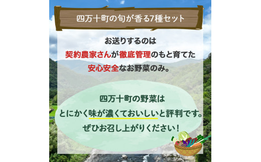 迚ケ陬ス繝昴Φ驟「莉倥″シ∝ョ牙ソ螳牙ィ縺ョ蝨ー繝峨Ξ驥手除シ域流縺碁ヲ吶k7遞ョ繧サ繝繝茨シ会シ讐js-05