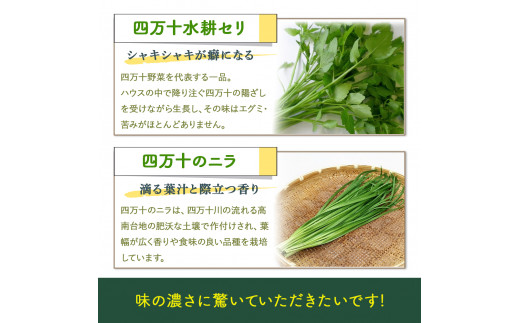 迚ケ陬ス繝昴Φ驟「莉倥″シ∝ョ牙ソ螳牙ィ縺ョ蝨ー繝峨Ξ驥手除シ域流縺碁ヲ吶k7遞ョ繧サ繝繝茨シ会シ讐js-05