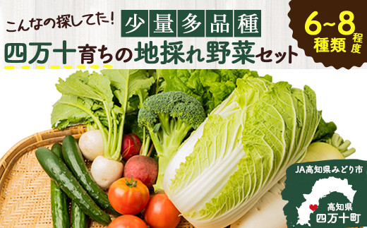 【少量多品種】四万十育ちの地採れ 野菜セット(6～8種類)／Qjs-A21