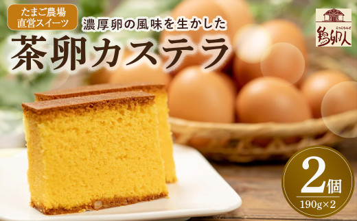 たまご農場直営スイーツ！こだわり卵のカステラ 2個セット(190ｇ×2個) ／Gbn-64