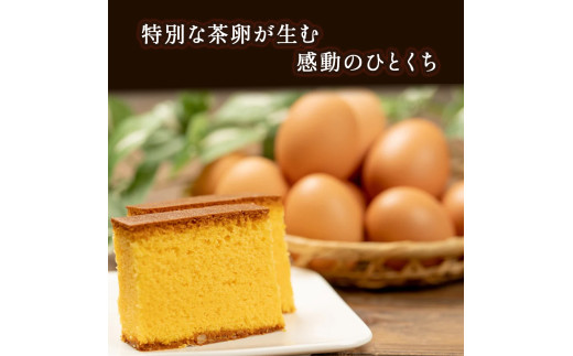 たまご農場直営スイーツ！こだわり卵のカステラ 2個セット(190ｇ×2個) ／Gbn-64