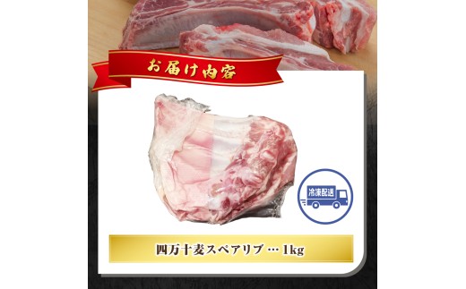 【期間限定】四万十麦豚 スペアリブ 約1kg／Ahc-26