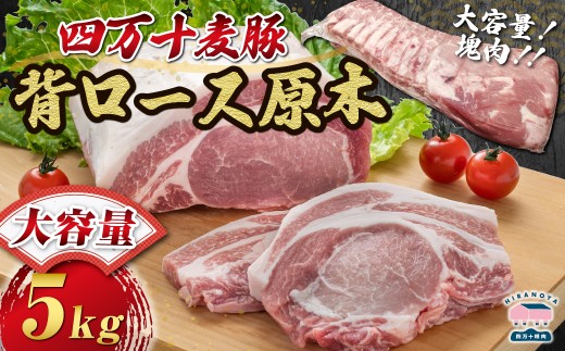 【期間限定】四万十麦豚 背ロース原木 約5kg ／Ahc-23