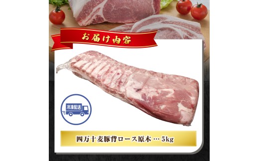 【期間限定】四万十麦豚 背ロース原木 約5kg ／Ahc-23