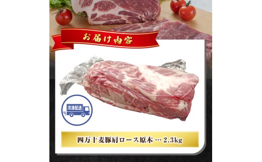 【期間限定】四万十麦豚 肩ロース原木 約2.3kg／Ahc-24 