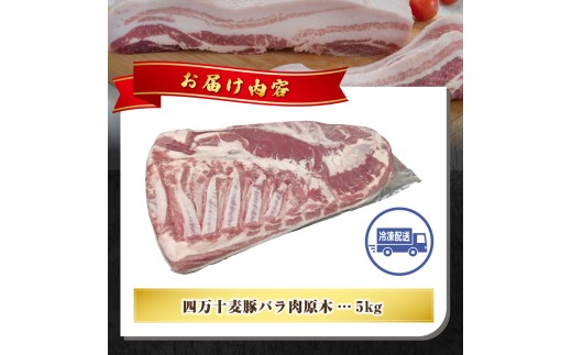 【期間限定】四万十麦豚バラ肉原木約5kg／Ahc-25