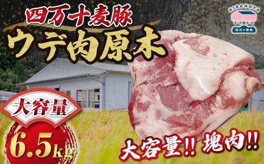 【期間限定】四万十麦豚 ウデ肉原木 約6.5kg／Ahc-27