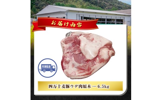 【期間限定】四万十麦豚 ウデ肉原木 約6.5kg／Ahc-27