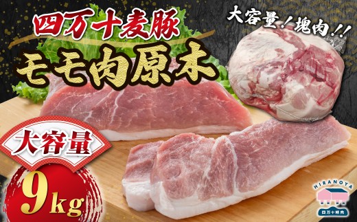 【期間限定】四万十麦豚モモ肉原木約9kg／Ahc-28 