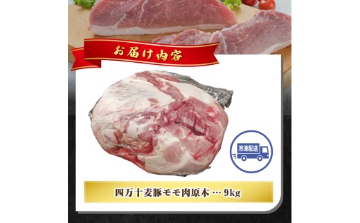 【期間限定】四万十麦豚モモ肉原木約9kg／Ahc-28 