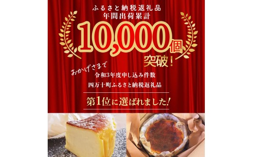 【定期便-12回お届け】バスクチーズケーキ ～四万十の米粉入り～／Rbmu-B60