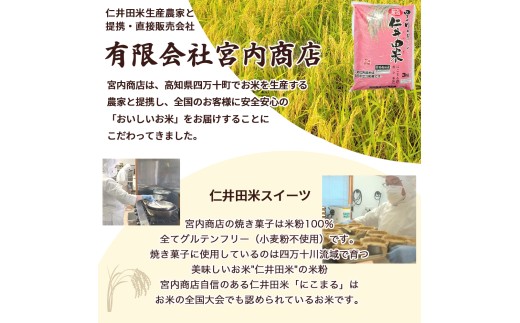 【定期便-12回お届け】バスクチーズケーキ ～四万十の米粉入り～／Rbmu-B60