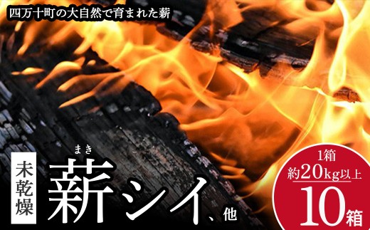 四万十の薪　未乾燥　シイ他(20kg以上)×10箱／Bnm-23