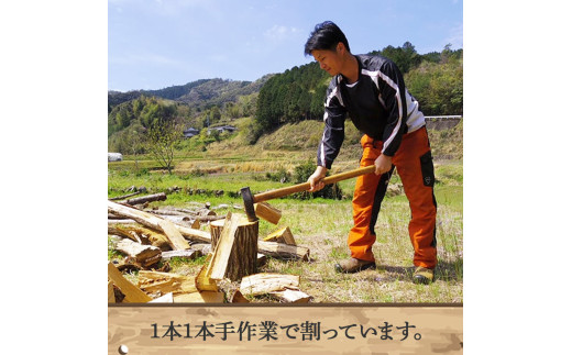 四万十の薪　未乾燥　シイ他(20kg以上)×10箱／Bnm-23