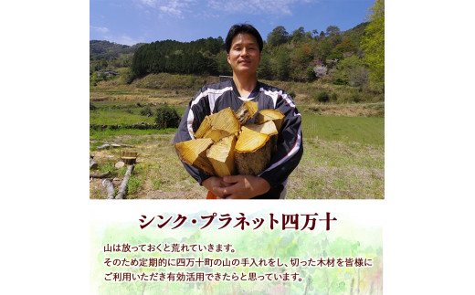 四万十の薪　未乾燥　シイ他(20kg以上)×10箱／Bnm-23