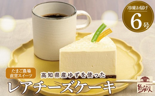 高知県産ゆずを使った爽やかレアチーズケーキ　6号ホール　Gbn-43