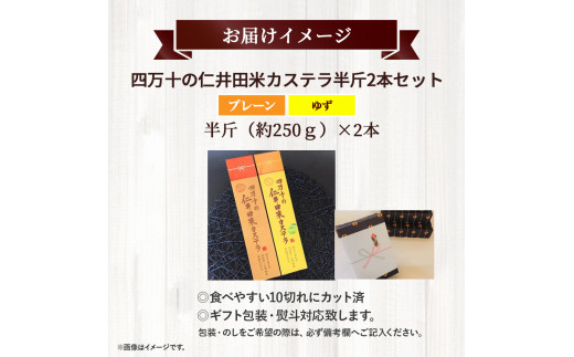 四万十の米粉カステラ【龍馬の太鼓判】プレーン＆ゆず半斤2本セット ／Bmu-C39