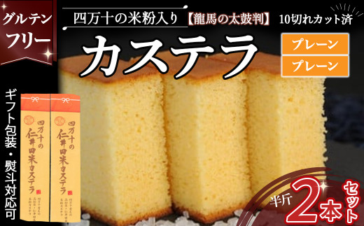 四万十の米粉カステラ【龍馬の太鼓判】プレーン＆プレーン半斤2本セット Bmu-B69