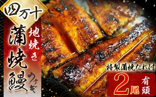 四万十地焼き蒲焼鰻2尾セット Esg-19
