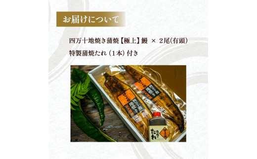 四万十地焼き蒲焼鰻2尾セット Esg-19