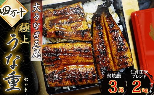 ドドドンと大うなぎ３尾！四万十の極上うな重セット ／Esg-B24