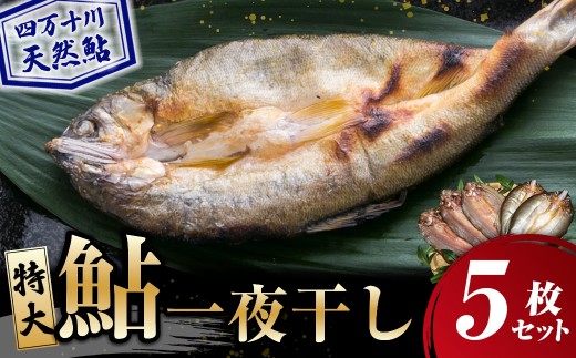 四万十川の天然鮎　特大サイズ一夜干し5枚セット／Esg-A27