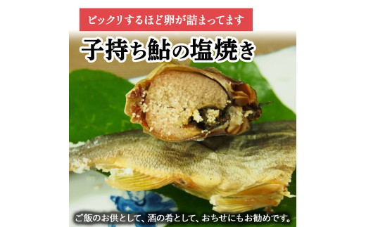 縲仙ク悟ー代大ュ先戟縺。魄弱ョ蝪ゥ辟シ縺阪→辟シ魄朱、豐ケ縺ョ繧サ繝繝医Ess-12