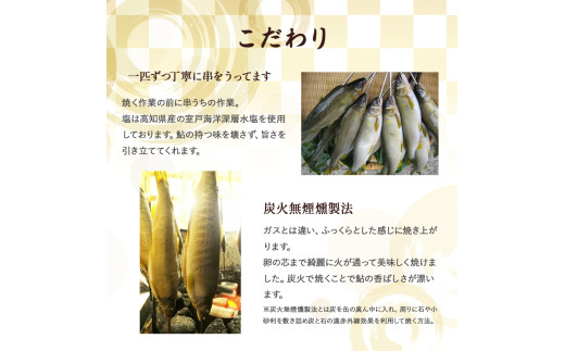 縲仙ク悟ー代大ュ先戟縺。魄弱ョ蝪ゥ辟シ縺阪→辟シ魄朱、豐ケ縺ョ繧サ繝繝医Ess-12