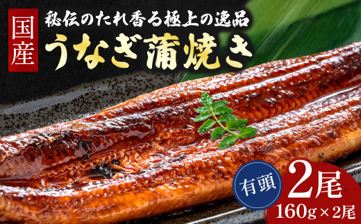 うなぎ蒲焼き【160g×2本セット】 ／Esu-124