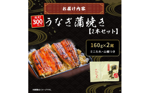 縺縺ェ縺手調辟シ縺阪160gテ2譛ャ繧サ繝繝医 シ拾su-124