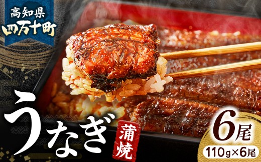 うなぎ蒲焼き【6本セット】 Esu-125