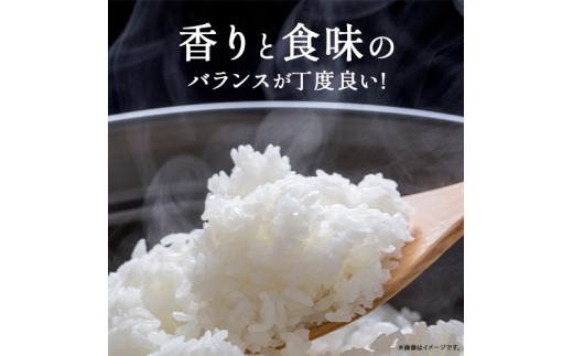 ◎令和7年産◎四万十ふるさとの味「香るお米」十和錦オススメ5kg×３点セット ／Bib-B03