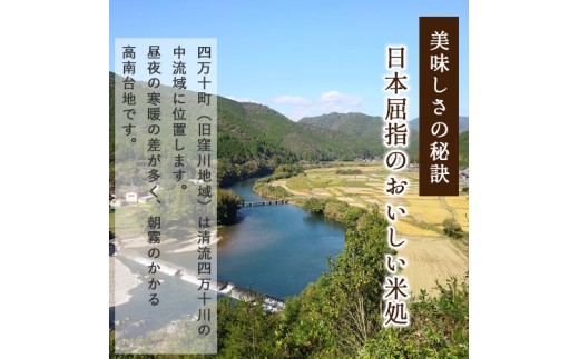 ◎令和7年産◎四万十ふるさとの味「香るお米」十和錦オススメ5kg×３点セット ／Bib-B03