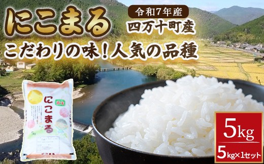 ◎令和7年産◎こだわりの味！人気の品種　井上米穀店さんの「にこまる」／Bib-B06