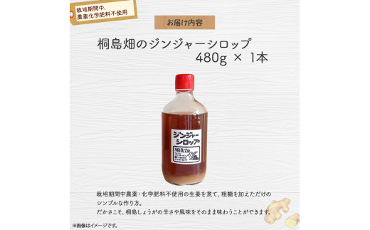 譬ス蝓ケ譛滄俣霎イ阮ャ繝サ蛹門ュヲ閧・譁吩ク堺スソ逕ィ縺ョ逕溷ァ懊〒菴懊▲縺溘梧。仙ウカ逡代ョ繧ク繝ウ繧ク繝」繝シ繧キ繝ュ繝繝励480gテ1譛ャ縲Fkh-A08