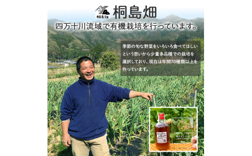 譬ス蝓ケ譛滄俣霎イ阮ャ繝サ蛹門ュヲ閧・譁吩ク堺スソ逕ィ縺ョ逕溷ァ懊〒菴懊▲縺溘梧。仙ウカ逡代ョ繧ク繝ウ繧ク繝」繝シ繧キ繝ュ繝繝励480gテ1譛ャ縲Fkh-A08