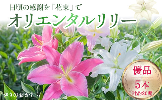 日頃の感謝を「花束」で、オリエンタルリリー【優品5本】／Osy-A14