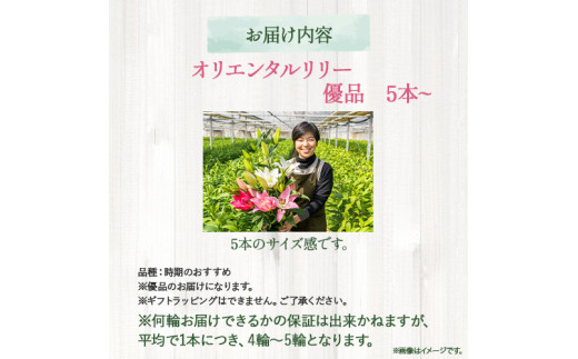 日頃の感謝を「花束」で、オリエンタルリリー【優品5本】／Osy-A14