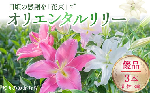 日頃の感謝を「花束」で、オリエンタルリリー【優品3本】／Osy-B13