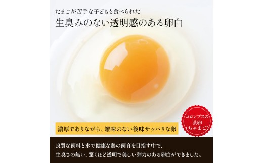 卵が苦手な子どもも食べられた！生臭くないおいしい卵 （10個入×6P）／Gbn-59