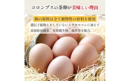 卵が苦手な子どもも食べられた！生臭くないおいしい卵 （10個入×6P）／Gbn-59