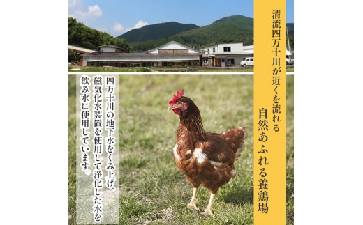 卵が苦手な子どもも食べられた！生臭くないおいしい卵 （10個入×6P）／Gbn-59