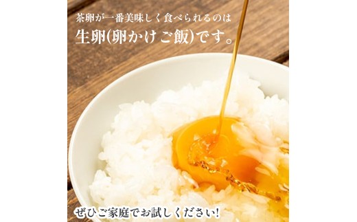 卵が苦手な子どもも食べられた！生臭くないおいしい卵 （10個入×6P）／Gbn-59