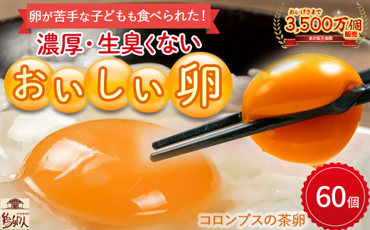 卵が苦手な子どもも食べられた！生臭くないおいしい卵 （10個入×6P）／Gbn-59