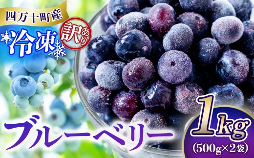 【訳あり大容量】四万十町産 冷凍 ブルーベリー1kg（500g×2袋）／Cvs-11