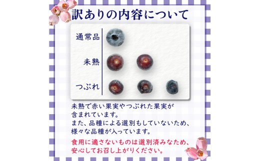 縲占ィウ縺ゅj螟ァ螳ケ驥上大屁荳蜊∫伴逕」 蜀キ蜃 繝悶Ν繝シ繝吶Μ繝シ1kgシ500gテ2陲具シ会シ修vs-11