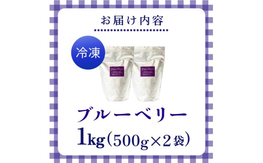 縲占ィウ縺ゅj螟ァ螳ケ驥上大屁荳蜊∫伴逕」 蜀キ蜃 繝悶Ν繝シ繝吶Μ繝シ1kgシ500gテ2陲具シ会シ修vs-11